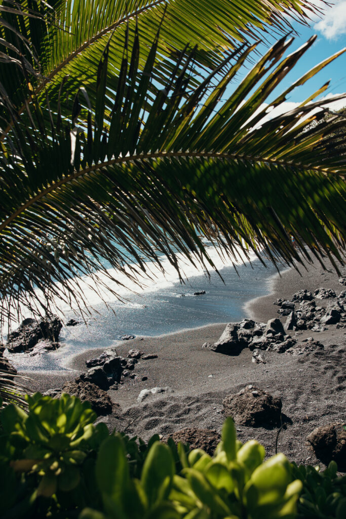 Maui Elopement Photographer captures palm trees hanging over beach and ocean view