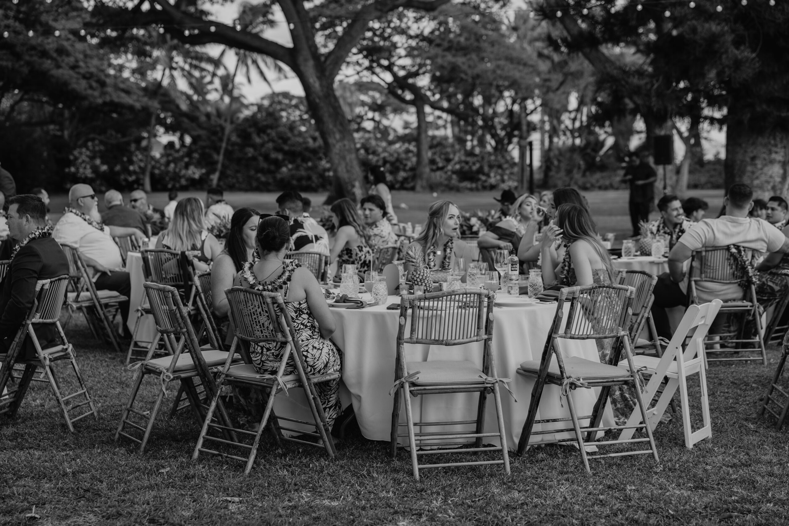 Wedding guests chatting and dining outdoors beneath trees at a laid-back Maui wedding reception.