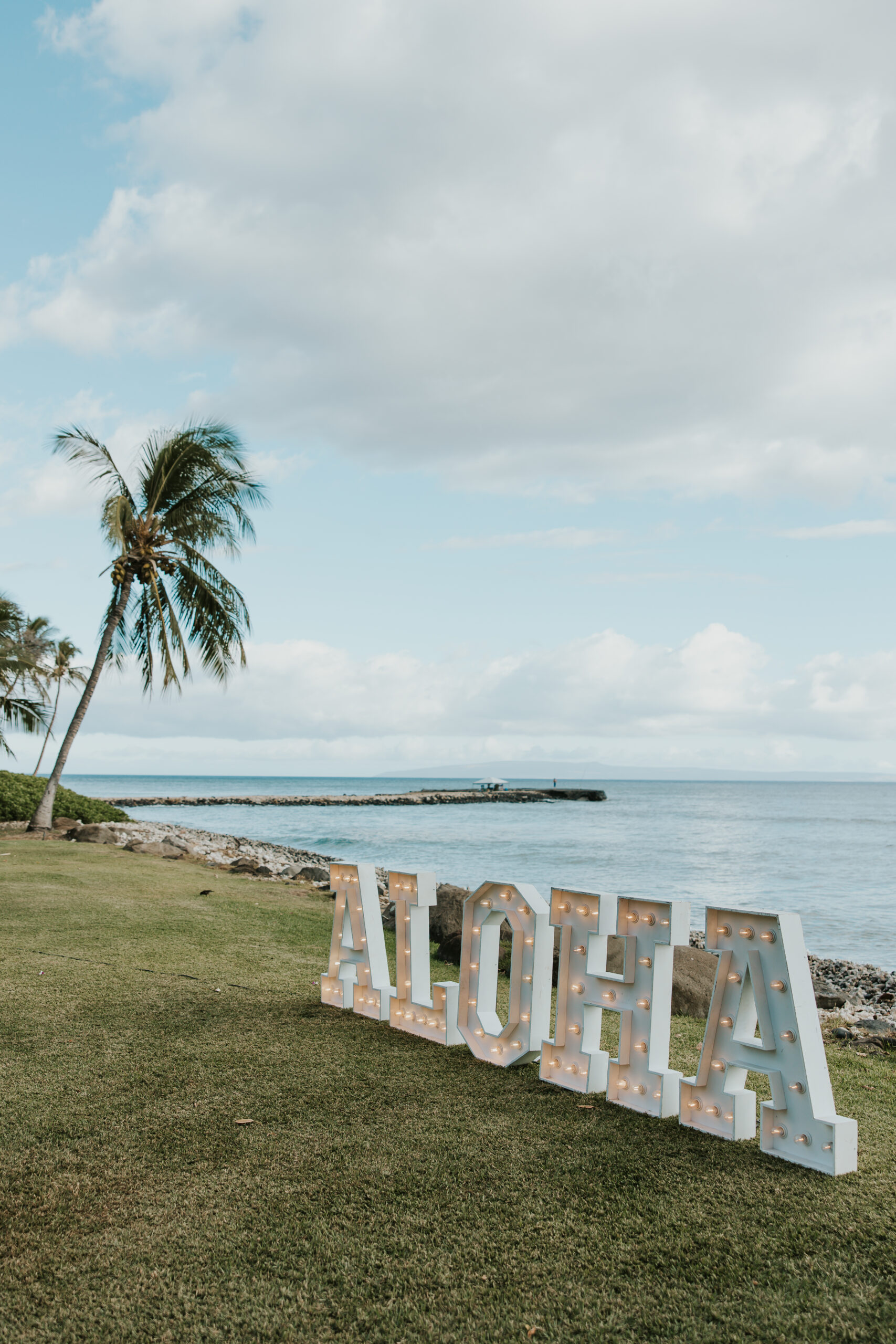 Large “ALOHA” marquee letters set on green grass by the sea, framed by palm trees and a breezy sky—classic Maui vibes.