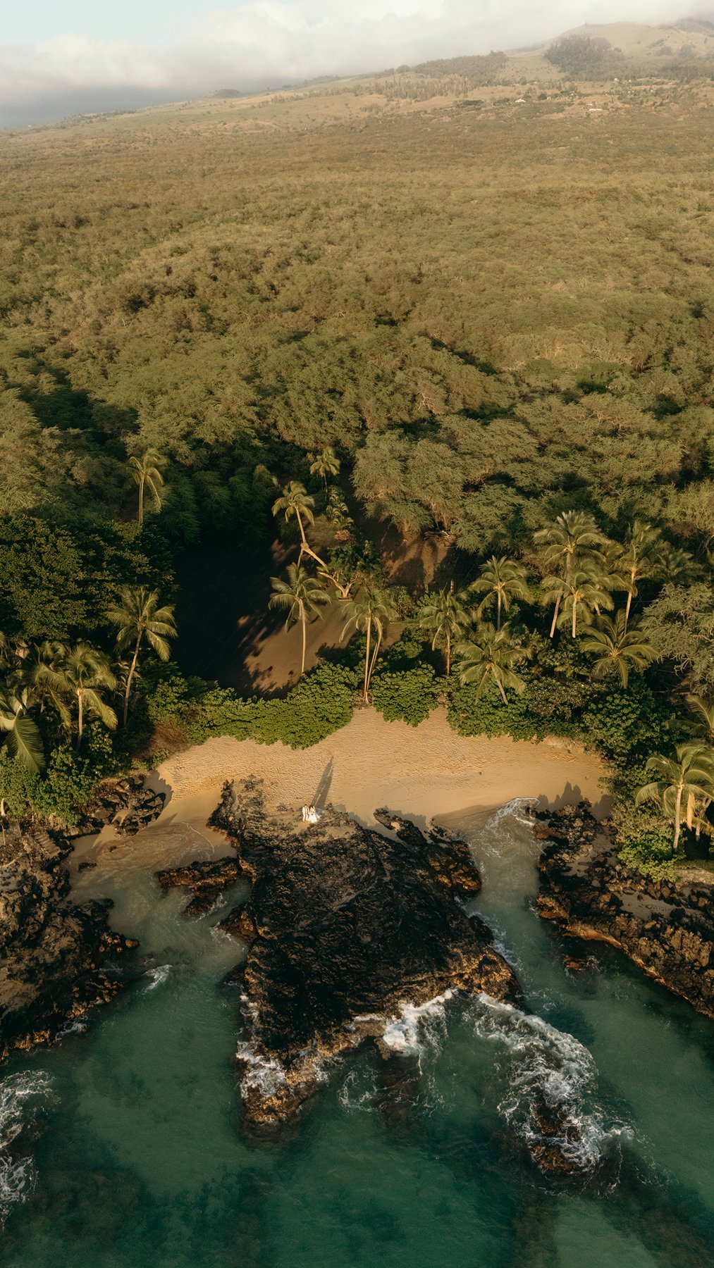 Drone view of secluded South Maui beach with palm trees and couple standing together on the shoreline