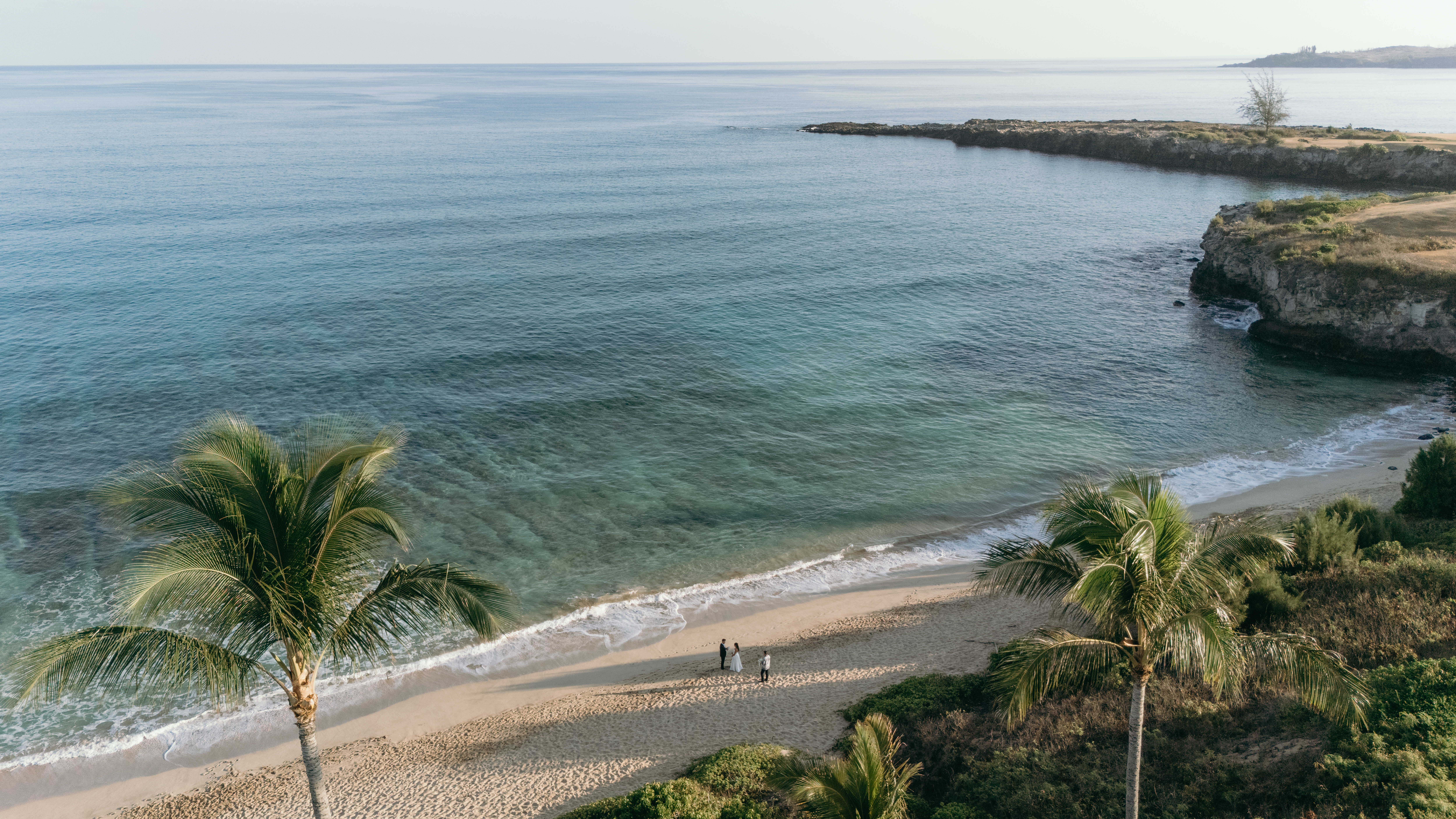 Aerial view of a secluded Maui beach with palm trees, shoreline, and the elopement ceremony below, photographed with drone videography.