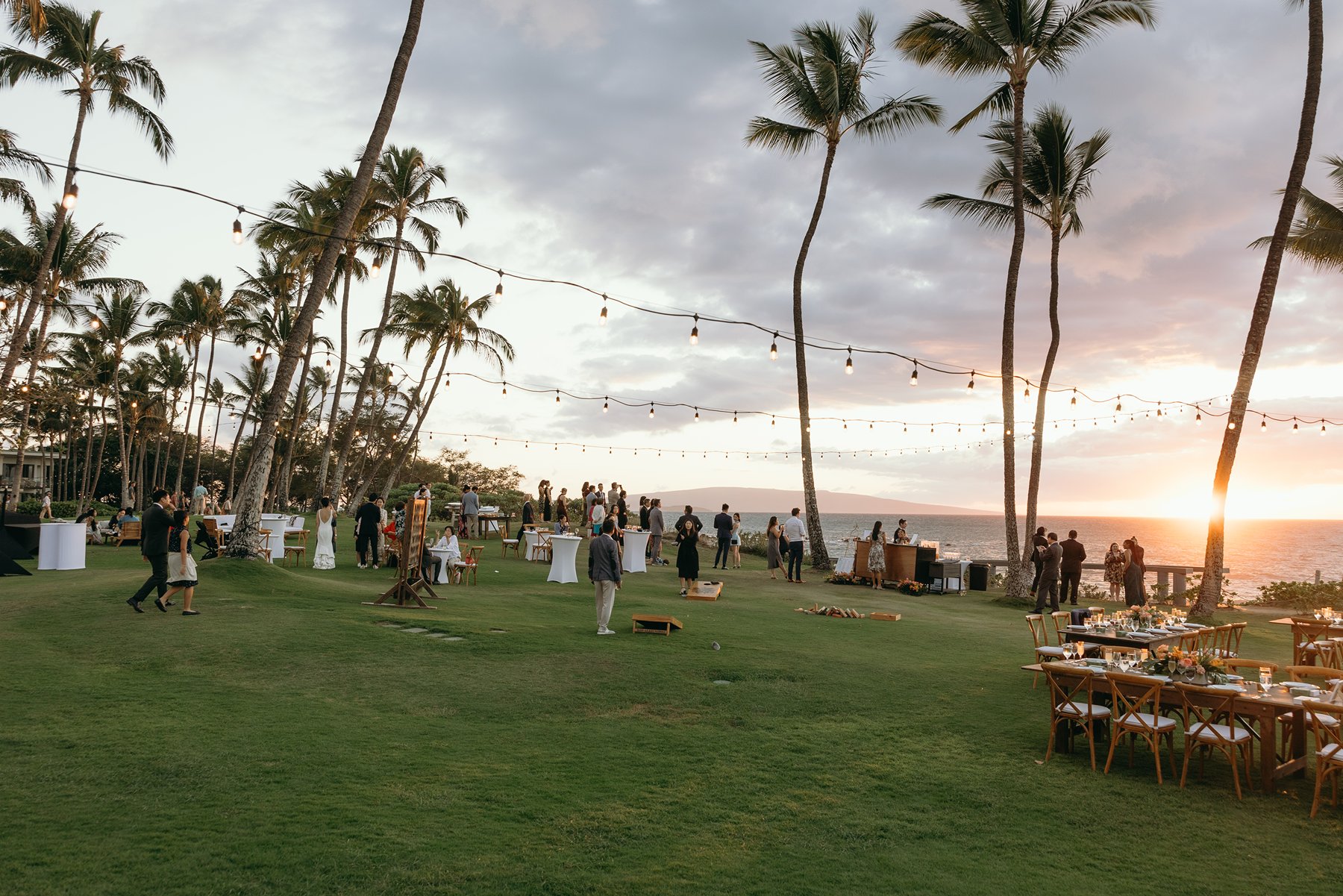 Wide view of Maui oceanfront lawn reception setup with palm trees and string lights at sunset