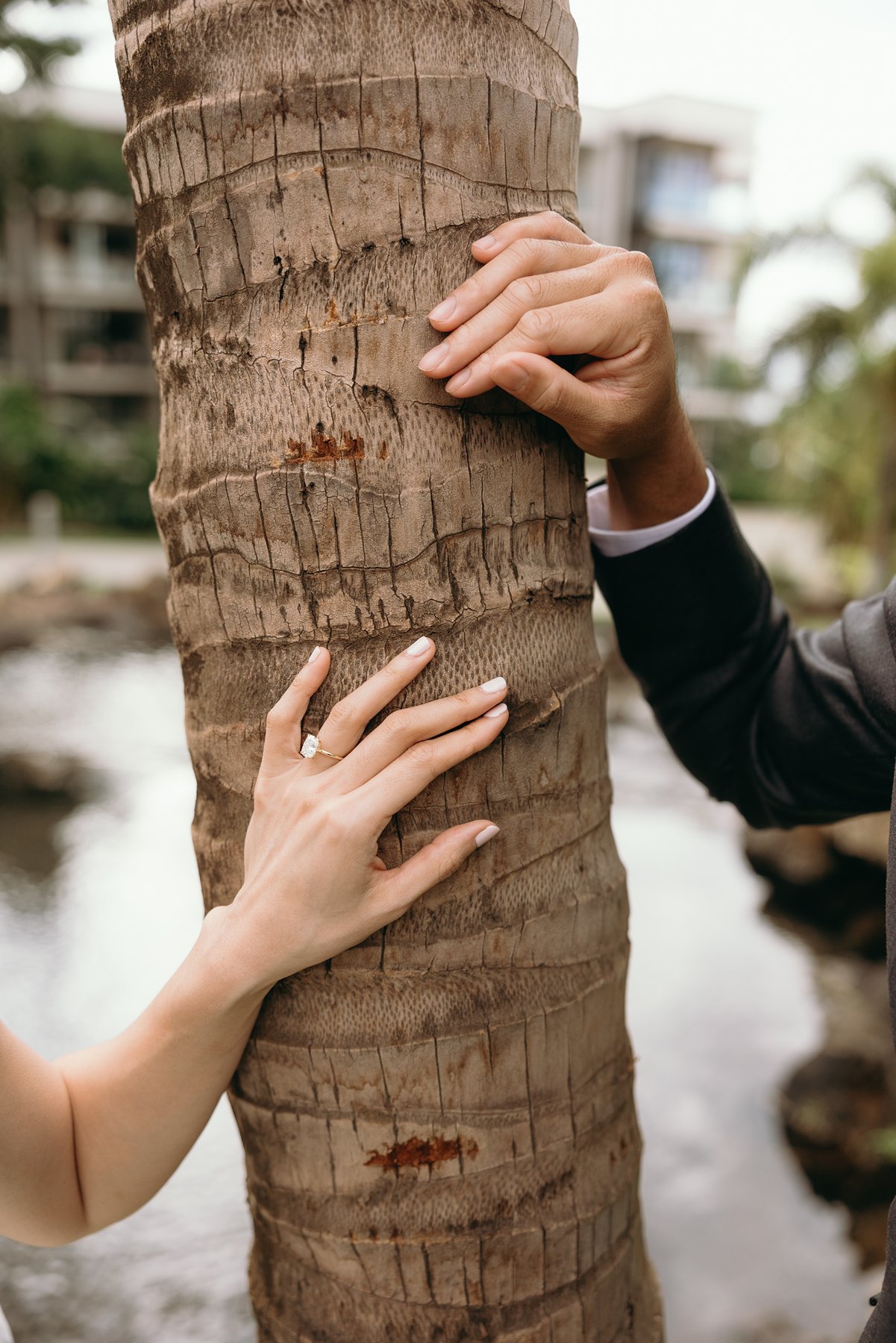 Close-up of bride and groom hands with wedding ring against palm tree
