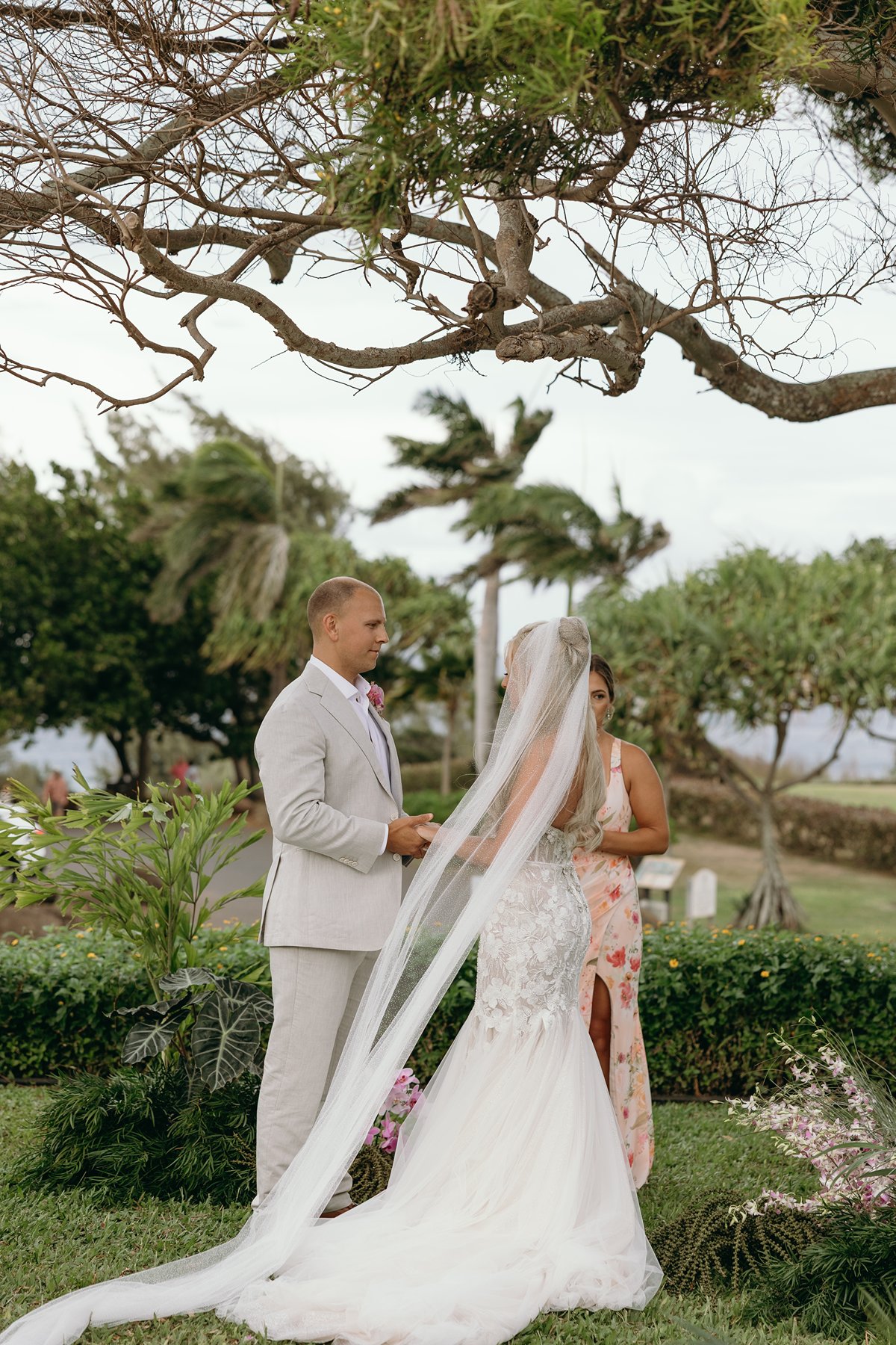 Bride and groom exchanging vows beneath sweeping tree branches after choosing to elope in Maui, her veil flowing softly in the island breeze.