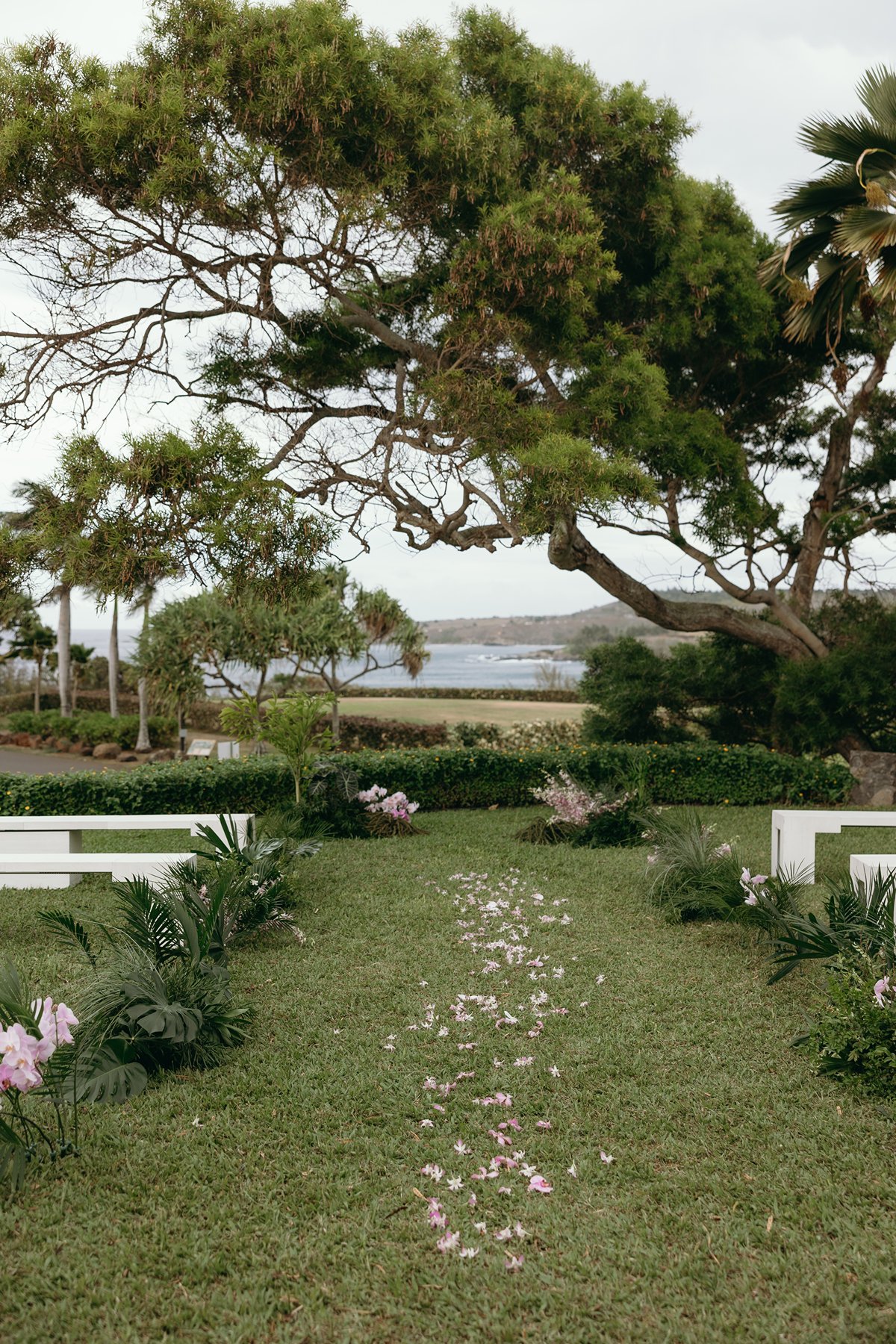 Garden ceremony aisle lined with pink petals and tropical greenery, set for an intimate Maui wedding overlooking the ocean.