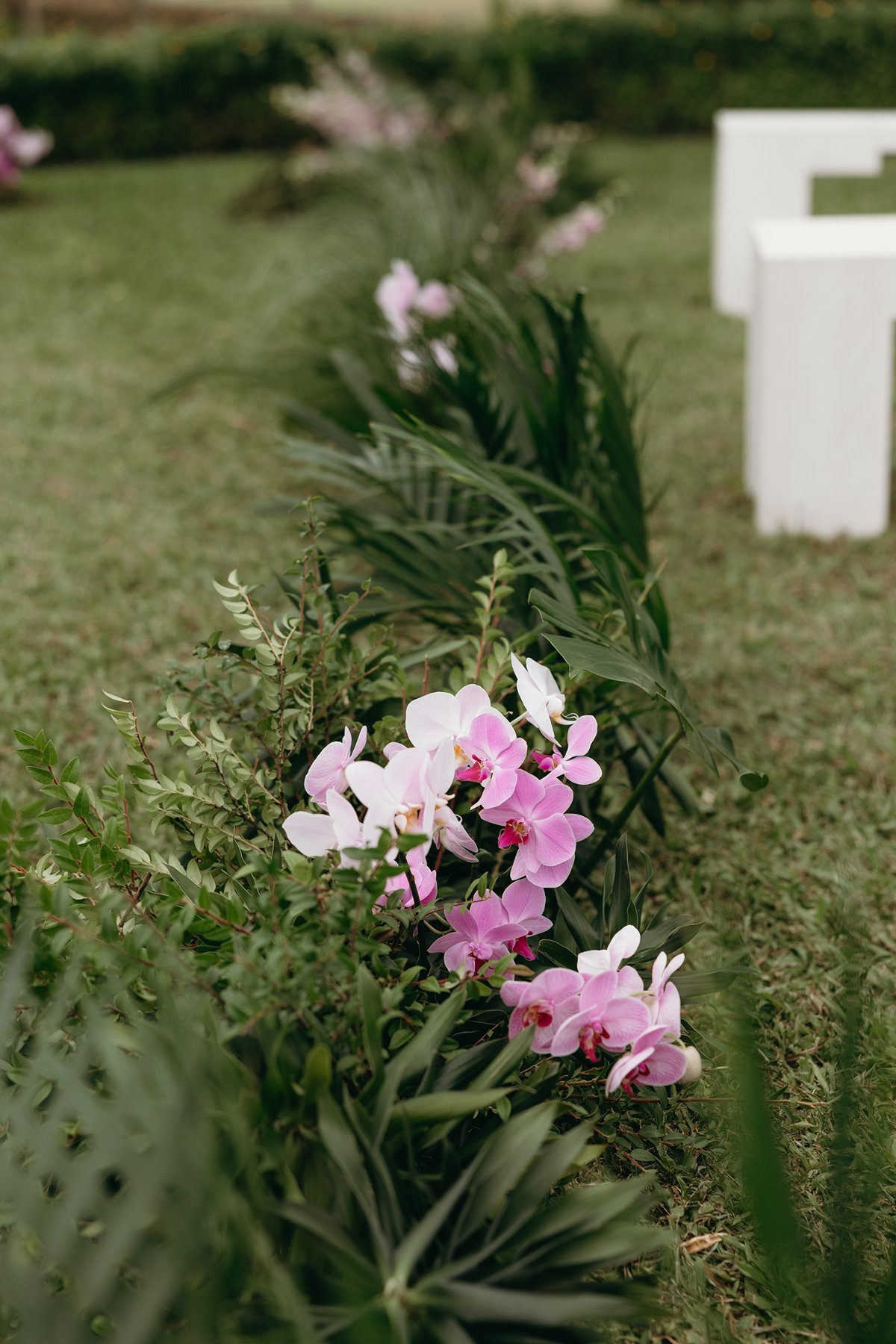 Pink orchids and tropical greenery lining the ceremony aisle on a Maui lawn, styled for an intimate outdoor wedding.