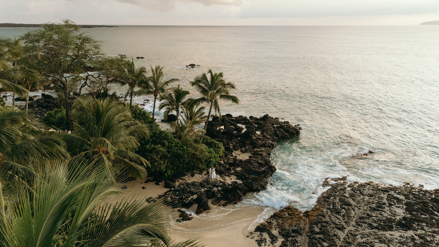 Aerial view of a hidden Maui cove with palm trees and rocky coastline captured during elopement photography.